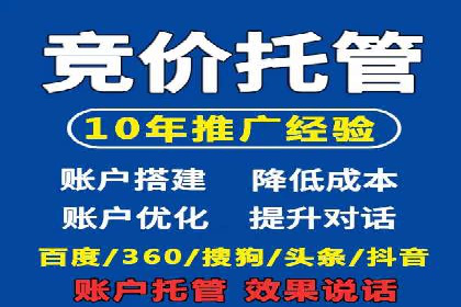 SEM推广实战：案例分析与优化